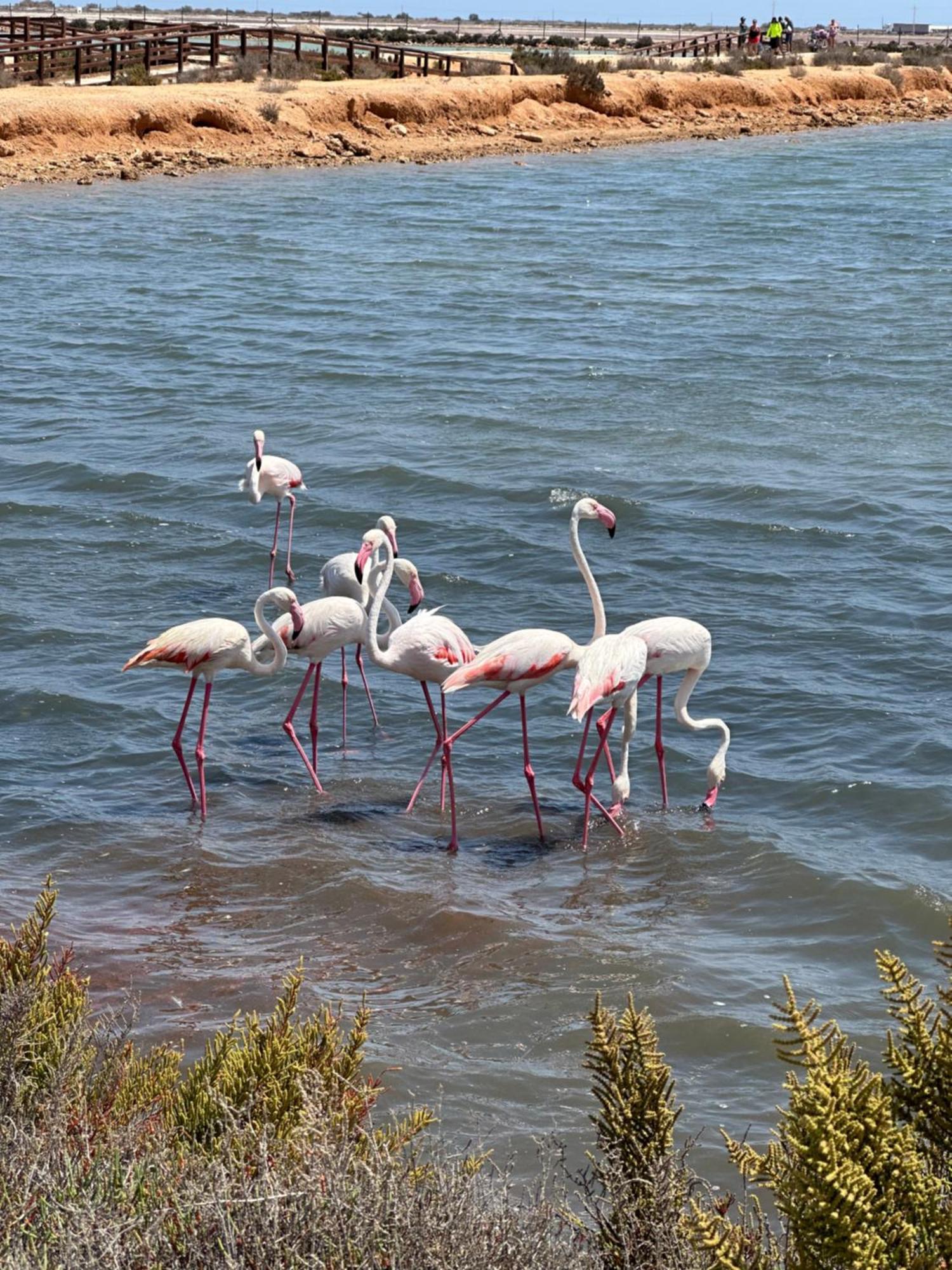 Mar Menor Paradise By Los Pinos Holidays San Pedro del Pinatar Luaran gambar